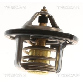 Kühlwasserthermostat 8620 55888