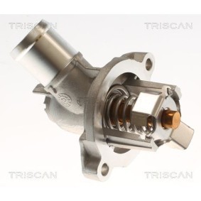 Achetez des Thermostat d'eau TRISCAN 8620 60082 à prix pour 42,12 €