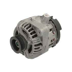 Lichtmaschine RIV600097