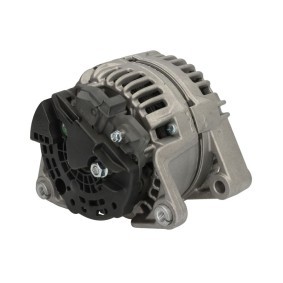 Lichtmaschine RIV600209