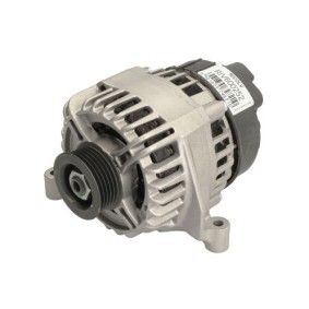 Lichtmaschine RIV600252