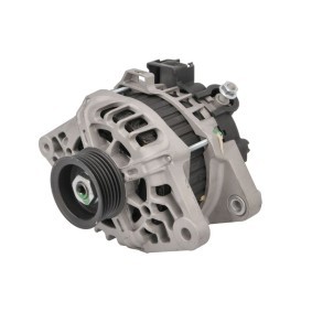 Lichtmaschine RIV600295