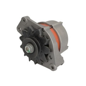 Lichtmaschine RIV600316