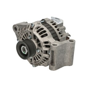 Lichtmaschine RIV600358