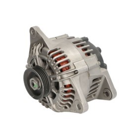 Lichtmaschine RIV600468
