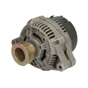 Lichtmaschine RIV600579