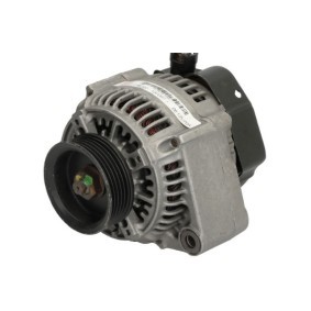 Lichtmaschine RIV601208