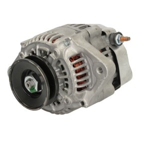 Lichtmaschine RIV601269