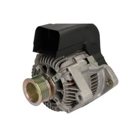 Lichtmaschine RIV601290