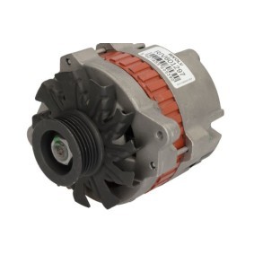 Lichtmaschine RIV601297