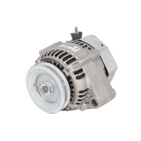 Lichtmaschine RIV601365