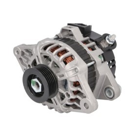 Lichtmaschine RIV601398
