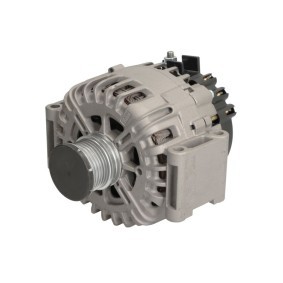 Lichtmaschine RIV601689