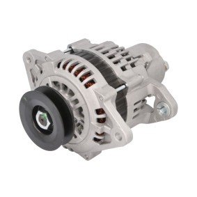 Lichtmaschine RIV610174