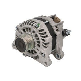 Lichtmaschine RIV610179