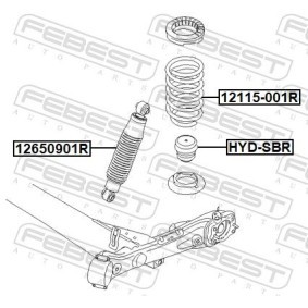 Fahrwerksfeder 12115-001R