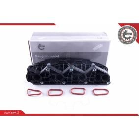 Achetez des Cache-culbuteur ESEN SKV 48SKV160 à prix pour 67,04 €