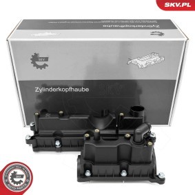 Achetez des Cache-culbuteur ESEN SKV 48SKV162 à prix pour 139,45 €