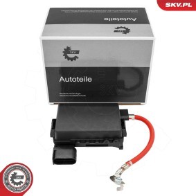 Sicherungsdose 96SKV325