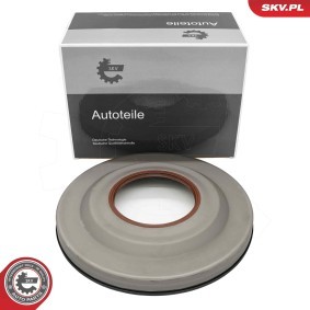 Osta Akselitiiviste, autom. vaihteisto ESEN SKV:llä 96SKV968 edullisesti hintaan 89,67 €