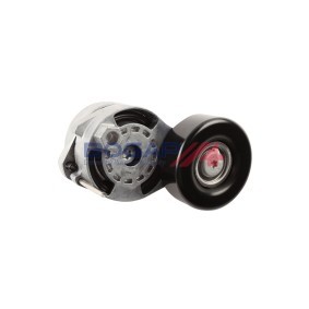 Comprar Tensor de correa poli V de BOGAP A1317125 a bajo precio de 49,20 €