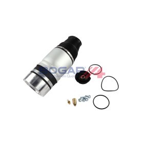Comprar Tensor de correa poli V de BOGAP A1317133 a bajo precio de 44,16 €