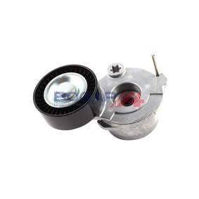 Comprar Tensor de correa poli V de BOGAP A1317138 a bajo precio de 49,20 €
