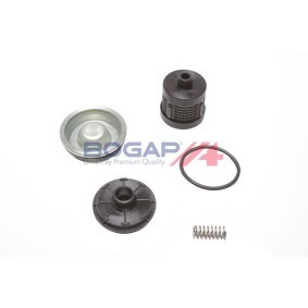 Köp Hydraulikfilter, Haldeskoppling av BOGAP A8118100 till det låga priset 159,29 kr