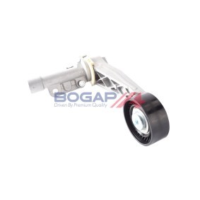 Comprar Tensor de correa poli V de BOGAP B1317120 a bajo precio de 52,47 €