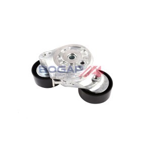 Acquista Tenditore cinghia servizi da BOGAP E1317100 a buon mercato per soli 46,00 €