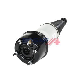 Acquista Ammortizzatore pneumatico da BOGAP E3426105 a buon mercato per soli 542,60 €