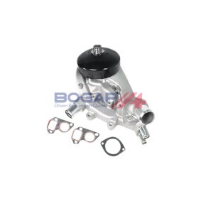 Achetez des Pompe à eau BOGAP G4232103 à prix pour 142,60 €