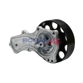 Achetez des Pompe à eau BOGAP H4234111 à prix pour 39,68 €
