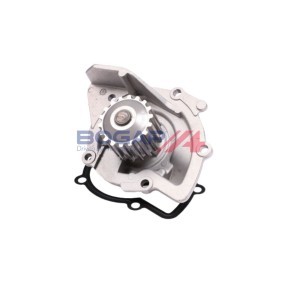 Köp Vattenpump av BOGAP P4234100 till det låga priset 528,38 kr