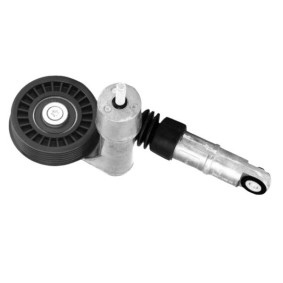 Comprar Tensor de correa poli V de GOOM BT-0015 a bajo precio de 88,85 €