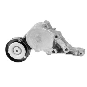 Comprar Tensor de correa poli V de GOOM BT-0018 a bajo precio de 55,21 €