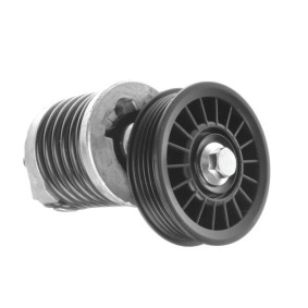Comprar Tensor de correa poli V de GOOM BT-0020 a bajo precio de 60,45 €