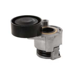 Comprar Tensor de correa poli V de GOOM BT-0021 a bajo precio de 78,70 €
