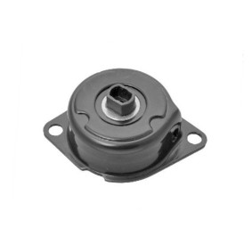 Comprar Tensor de correa poli V de GOOM BT-0022 a bajo precio de 58,20 €