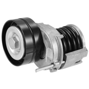 Comprar Tensor de correa poli V de GOOM BT-0028 a bajo precio de 53,59 €