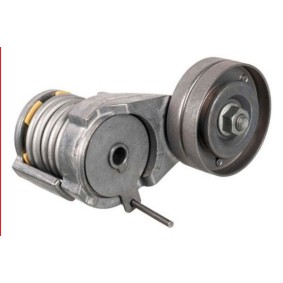 Comprar Tensor de correa poli V de GOOM BT-0030 a bajo precio de 51,31 €