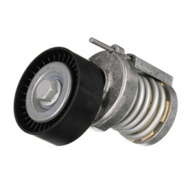 Comprar Tensor de correa poli V de GOOM BT-0032 a bajo precio de 49,16 €