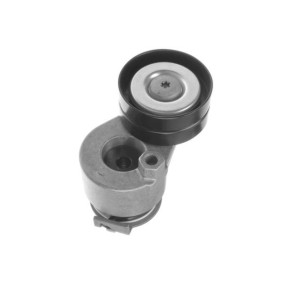 Comprar Tensor de correa poli V de GOOM BT-0033 a bajo precio de 48,91 €