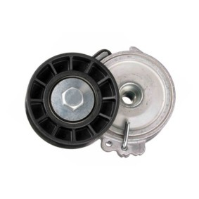 Comprar Tensor de correa poli V de GOOM BT-0035 a bajo precio de 44,41 €