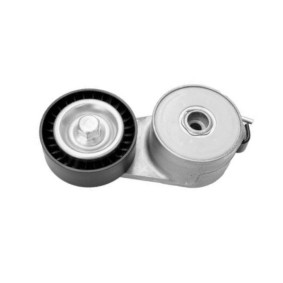 Comprar Tensor de correa poli V de GOOM BT-0037 a bajo precio de 42,52 €
