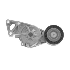 Comprar Tensor de correa poli V de GOOM BT-0041 a bajo precio de 36,80 €