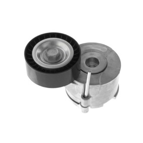 Comprar Tensor de correa poli V de GOOM BT-0044 a bajo precio de 35,09 €