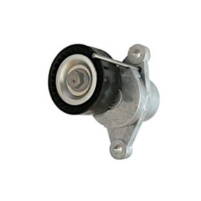 Comprar Tensor de correa poli V de GOOM BT-0046 a bajo precio de 54,00 €