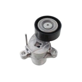 Comprar Tensor de correa poli V de GOOM BT-0057 a bajo precio de 33,13 €