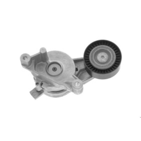 Comprar Tensor de correa poli V de GOOM BT-0061 a bajo precio de 45,12 €